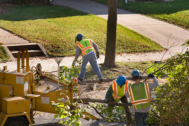  Gordonsville, TN Tree Services Pros